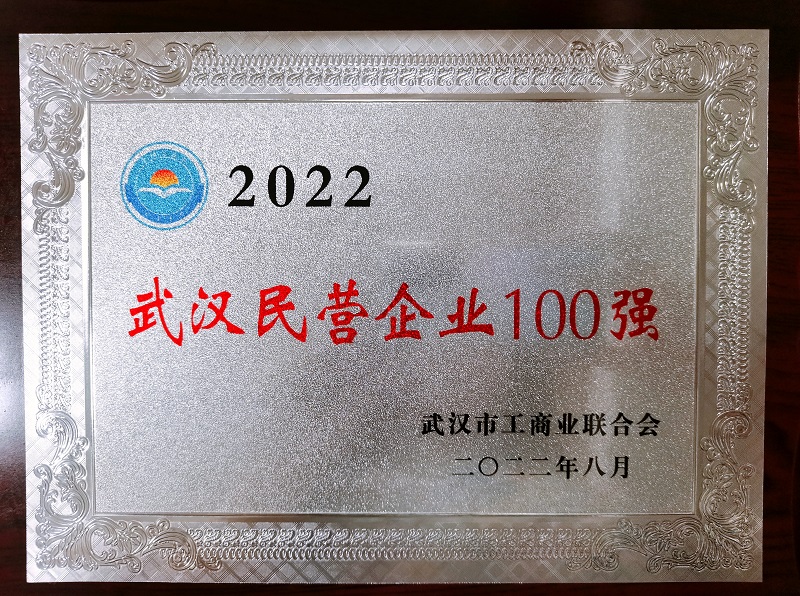 武漢民營百強39